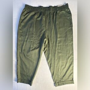 NWT Soft Surroundings Sz 3X (24) Straight Leg Crop Pants Green Trousers Women’s